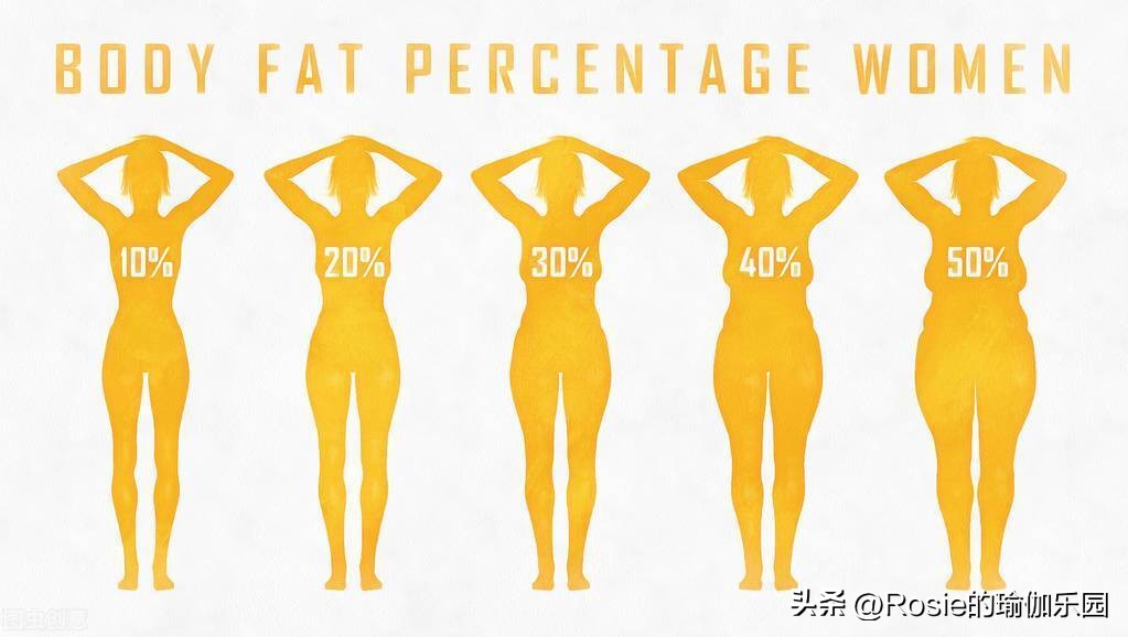 杨幂马甲线训练法,杨幂把小肚腩练成了马甲线