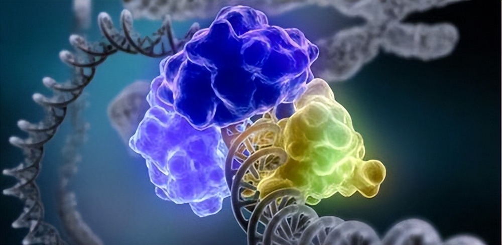 发现癌症不进行治疗会有什么后果,假如发现癌症却不治疗最后怎样