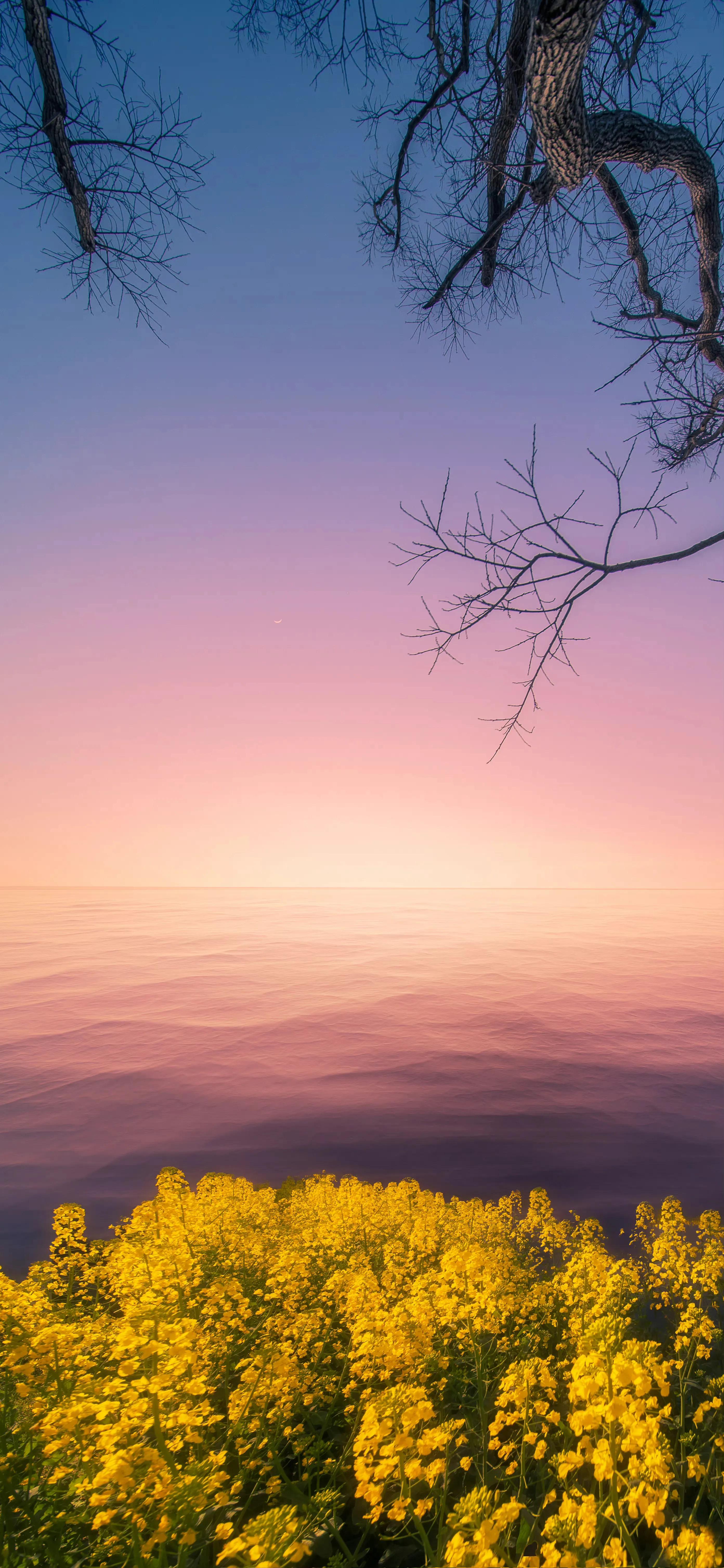 自然风景高清手机壁纸黑色,自然风景高清手机壁纸图片