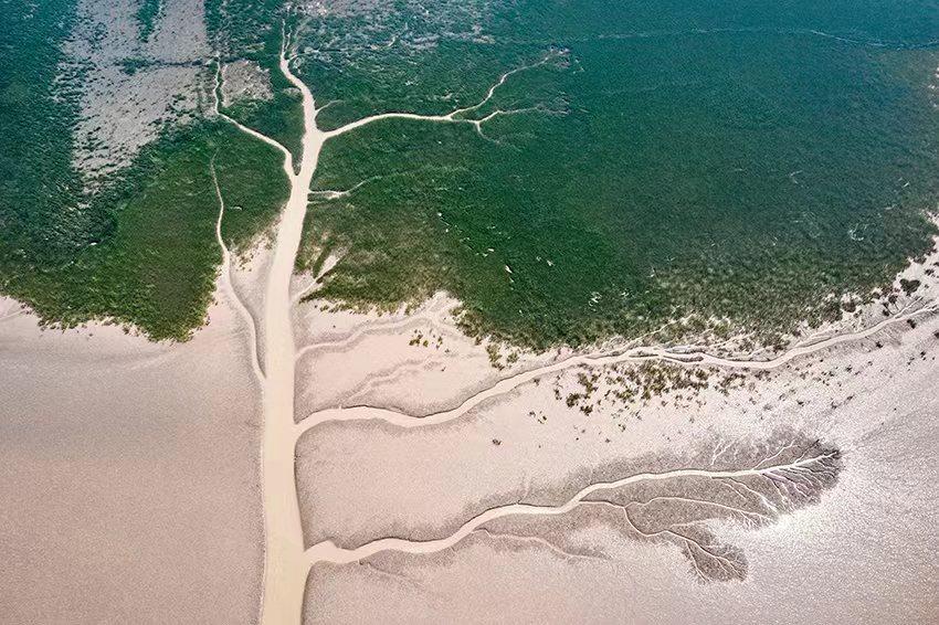 坐火车畅游东营,坐火车去东营一日游