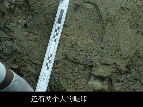 豆瓣8.8的印度电影,印度电影8.8分