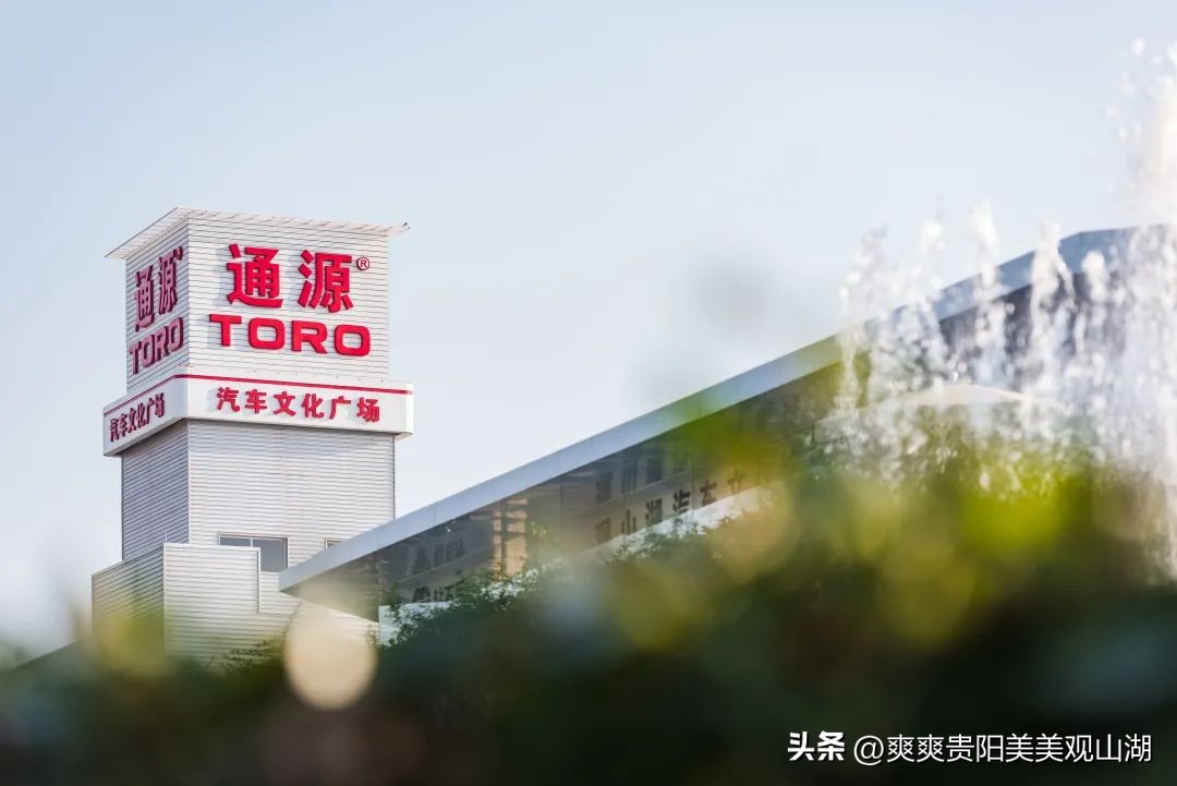 中国通源集团排名,通源集团民营企业