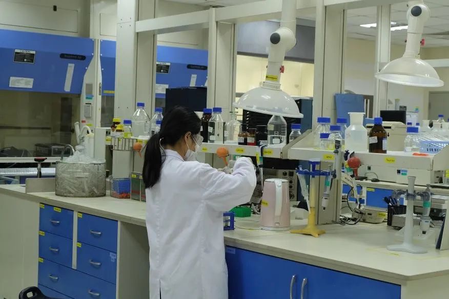 雅士利原装进口奶粉,国货奶粉强势崛起