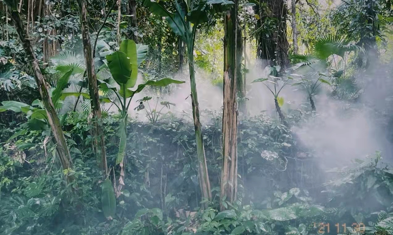 去厦门必须玩的十大景点推荐,厦门旅游必去的十大景点简单介绍