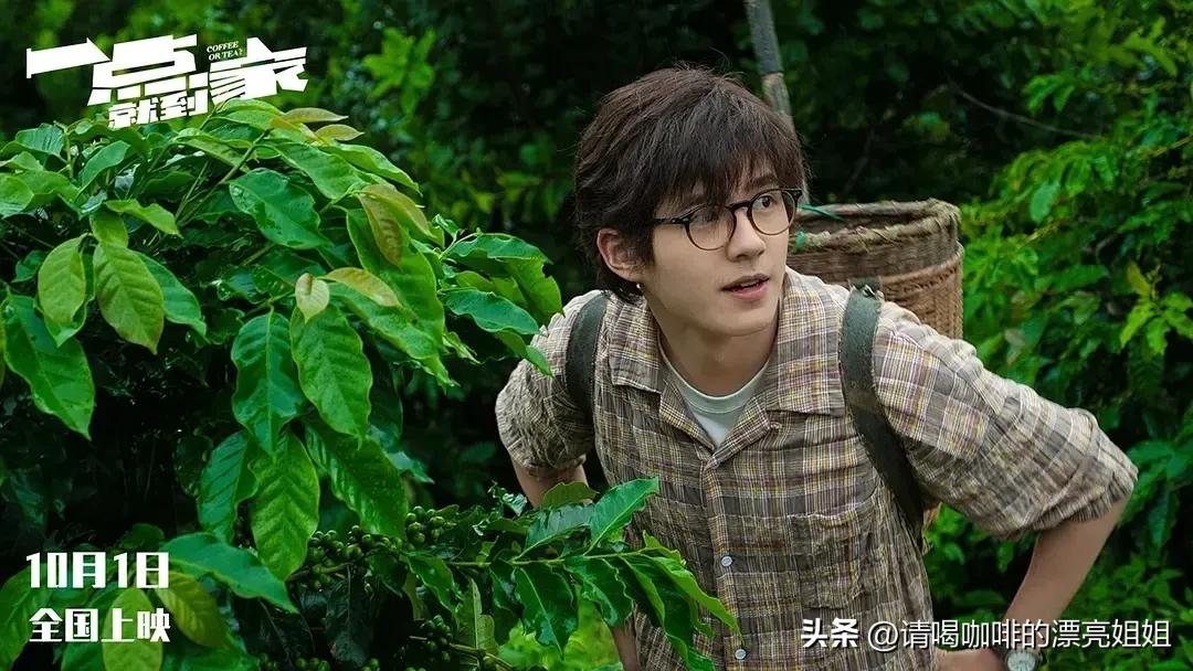 云南天皓庄园咖啡豆,云南天皓庄园