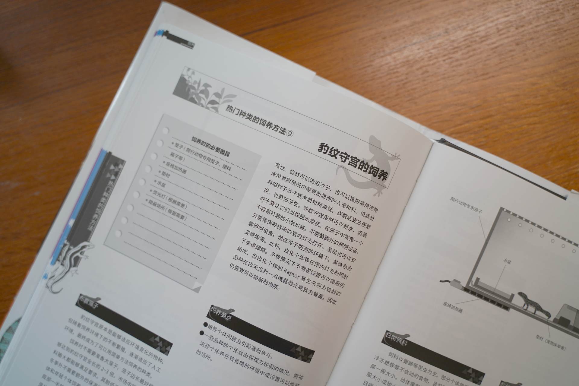 爬行动物世界动物园,世界爬行动物图鉴最新