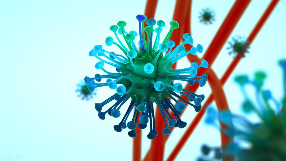 身上一股腐烂味是哪个位置,身上有腐烂味怎么回事