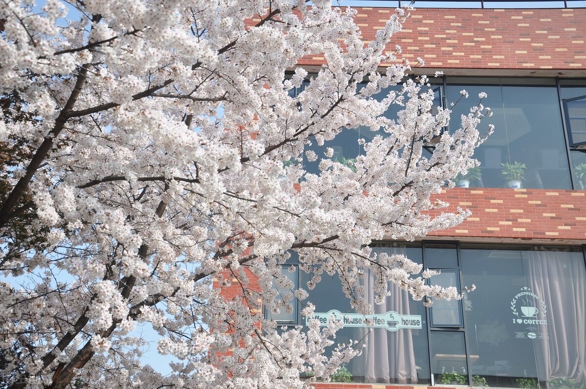 拥有一个好的性格需要多久,拥有好的心态就能成功的事例