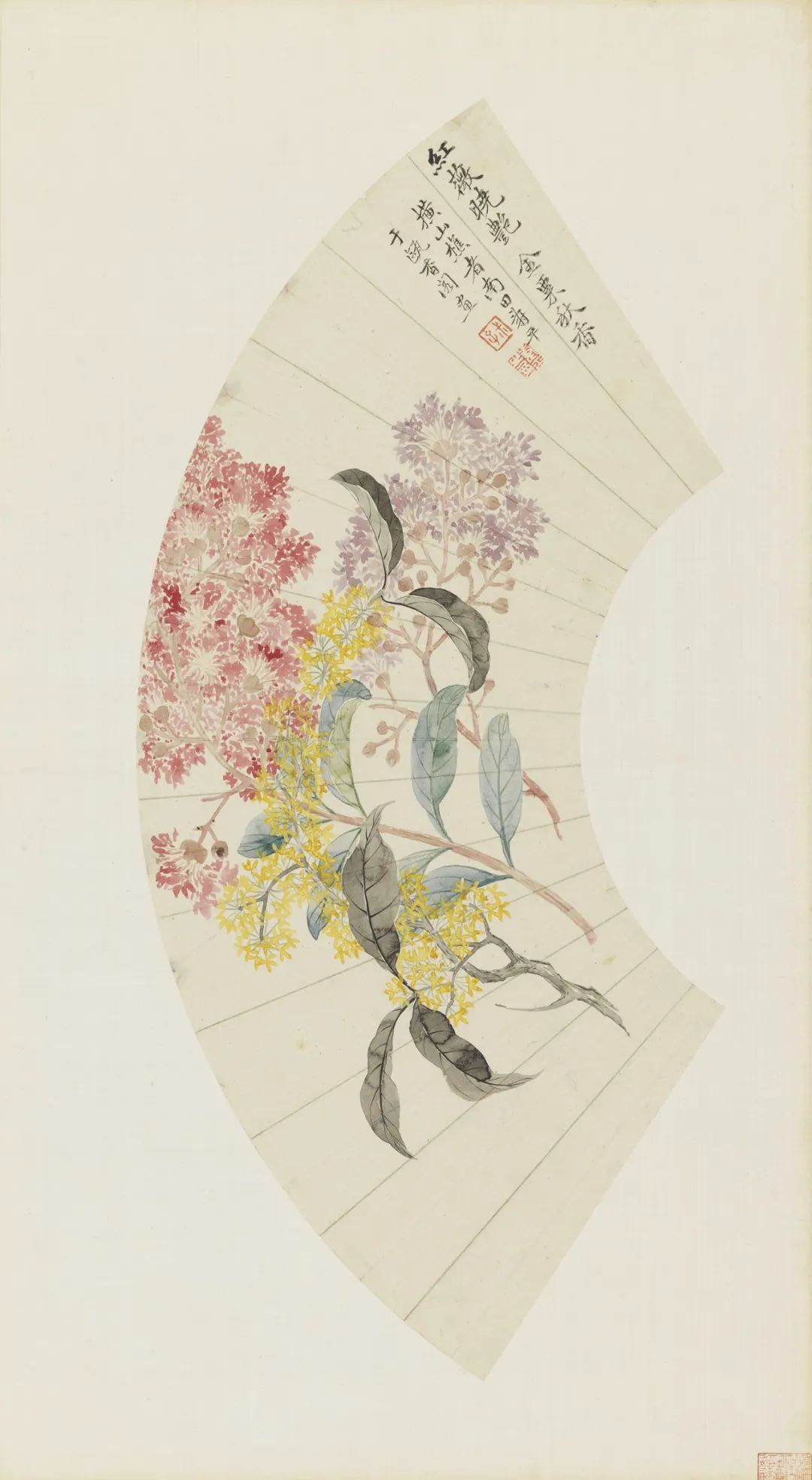 慕容看世界的视频,慕容看世界所有视频