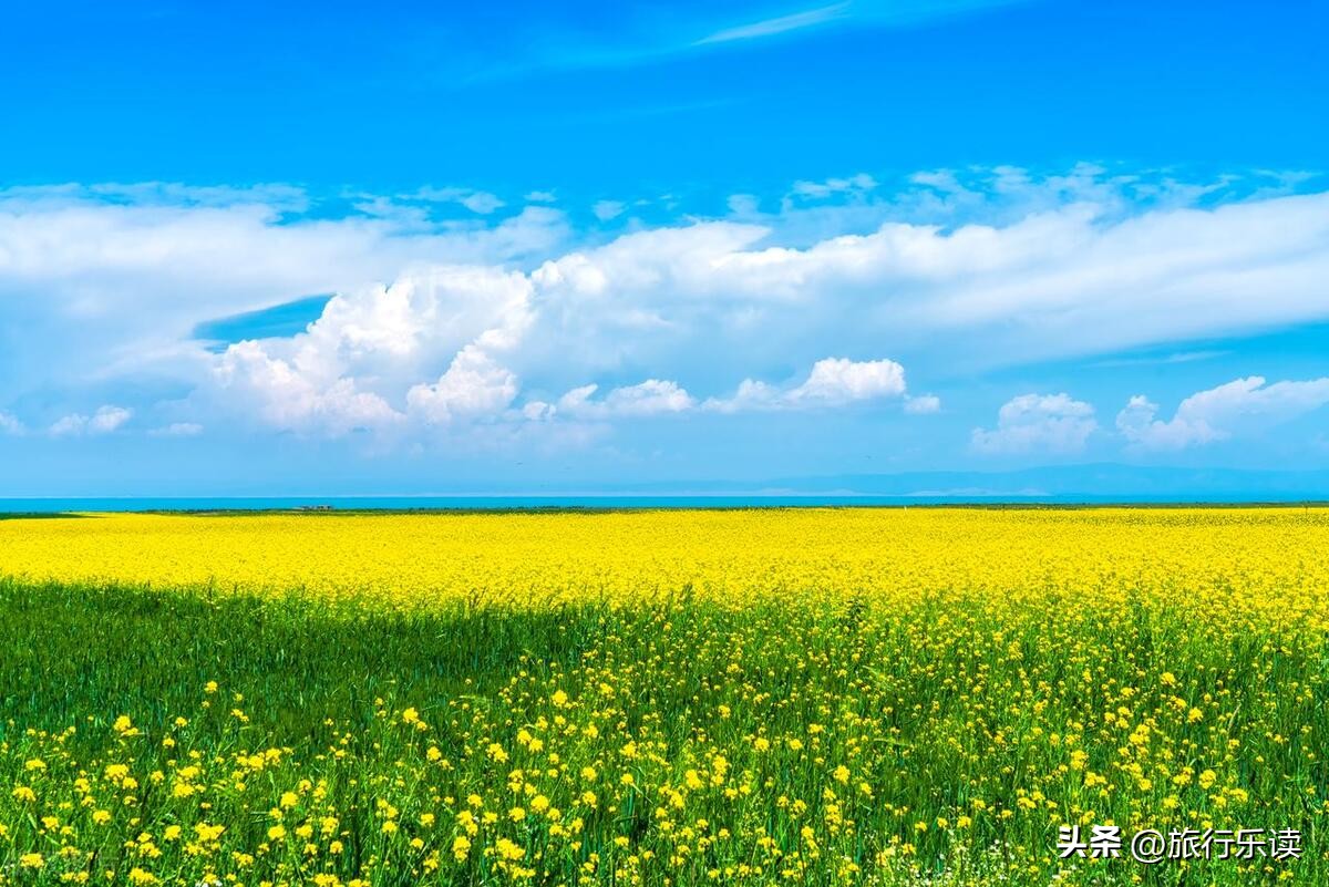 青海湖游览攻略自驾游,真实的青海湖旅游攻略