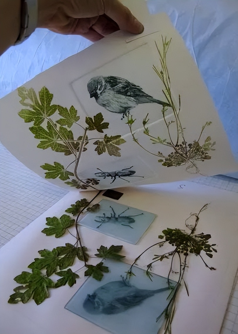 NY20+活动预告|春天来了！来“搞点颜色”噻~