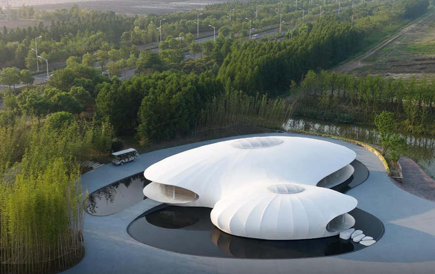 typology涓枃,typology