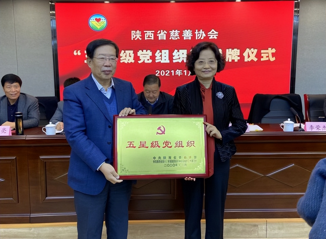 助力乡村振兴慈善事业,陕西省乡村振兴慈善公益活动