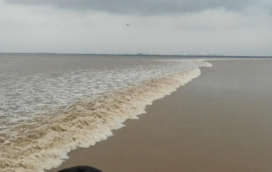 海宁附近一日游去哪里好玩自驾,浙江海宁免费自驾游攻略
