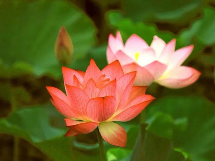 春树的人生格言书籍,人生书籍里的经典语录大全