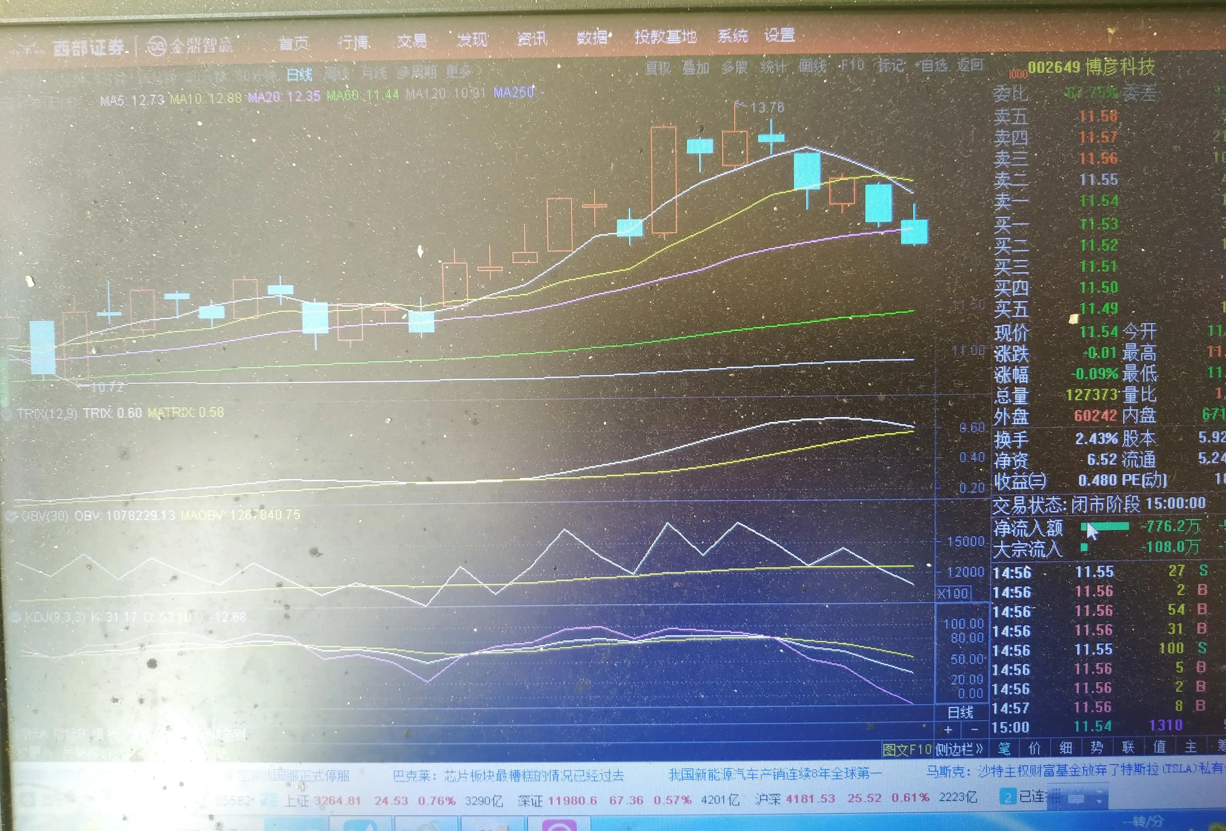 与狼共舞:一个散户的股吧霍霍史,二