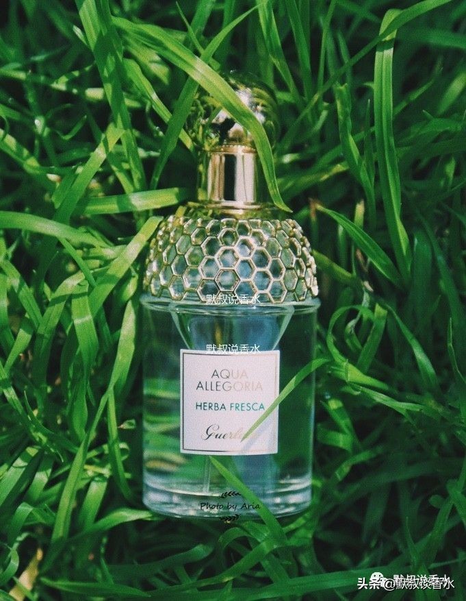 大牌香水推荐清冽淡香,平价柠檬薄荷清新香水