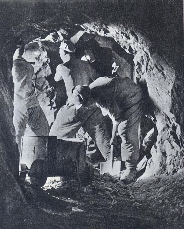 德国军事专家分析志愿军实力,德国专家对中国军人看法