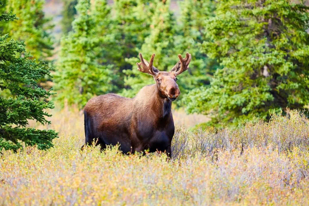 如此广袤纯粹，它上榜「BestinTravel2023​」当之无愧！