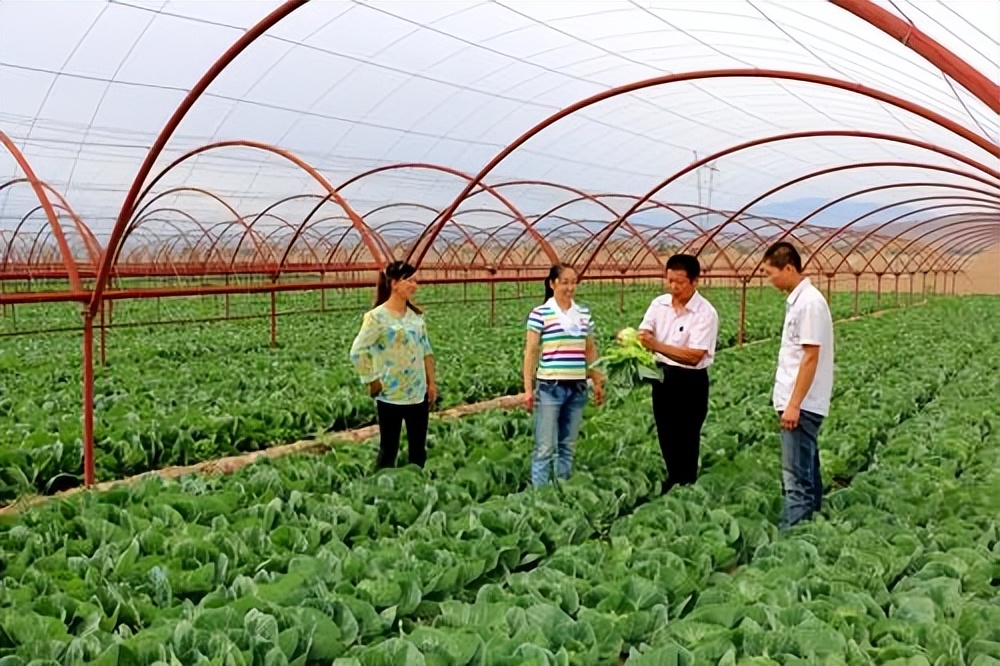 农作物发展的现状及变化,俄罗斯农业发展状况及主要农作物