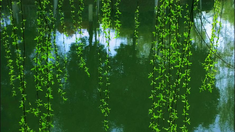 杨柳春风十首诗词,史上最撩人的情诗古诗超长