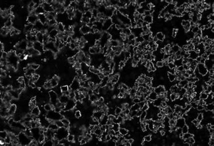 活性炭的活化方法有哪些,活性炭物理活化法