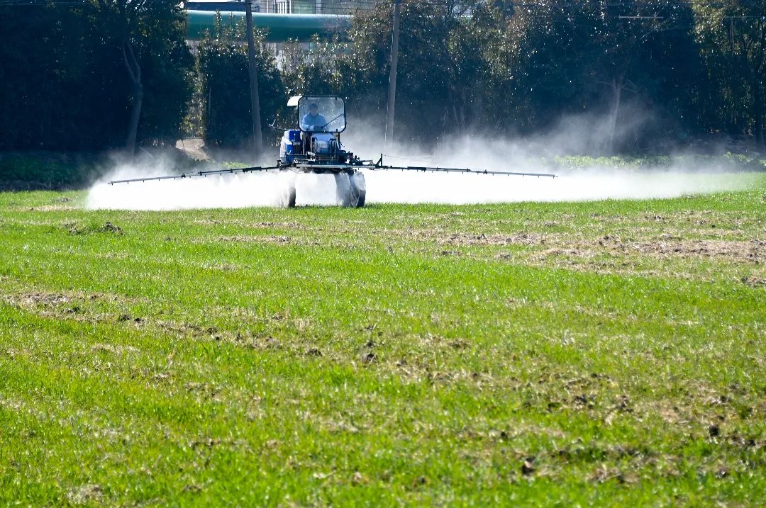张家港乡村振兴,2017年张家港乡村振兴带头人