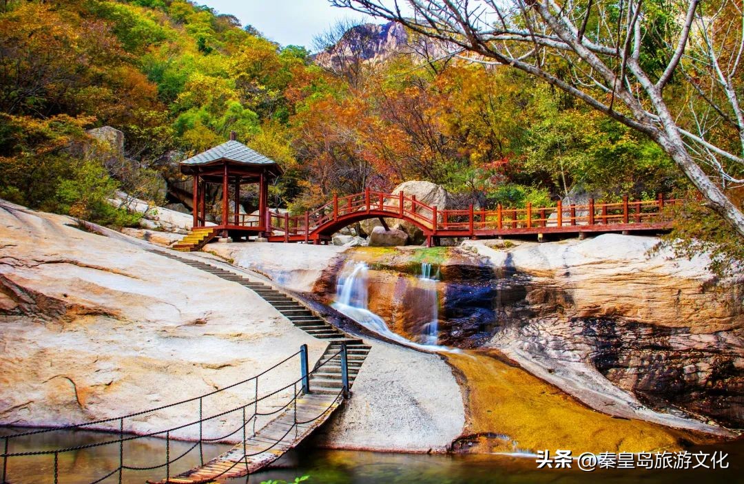 上帝打翻了秋天的调色盘,上帝打翻了调色盘诗句