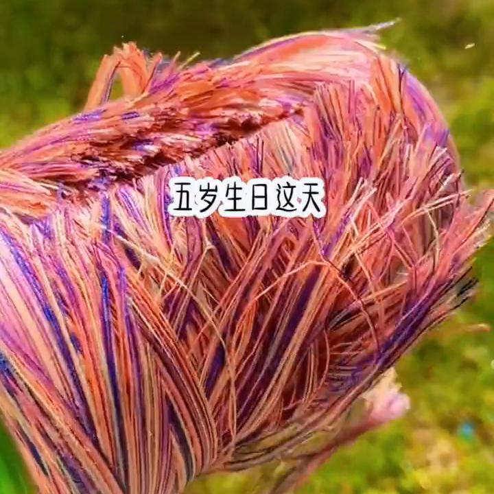 📖《大粒珍珠》#炒鸡好看小说