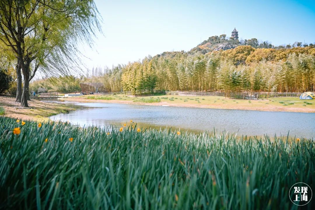 实用全上海532家公园攻略速速收藏,上海攻略必去的公园