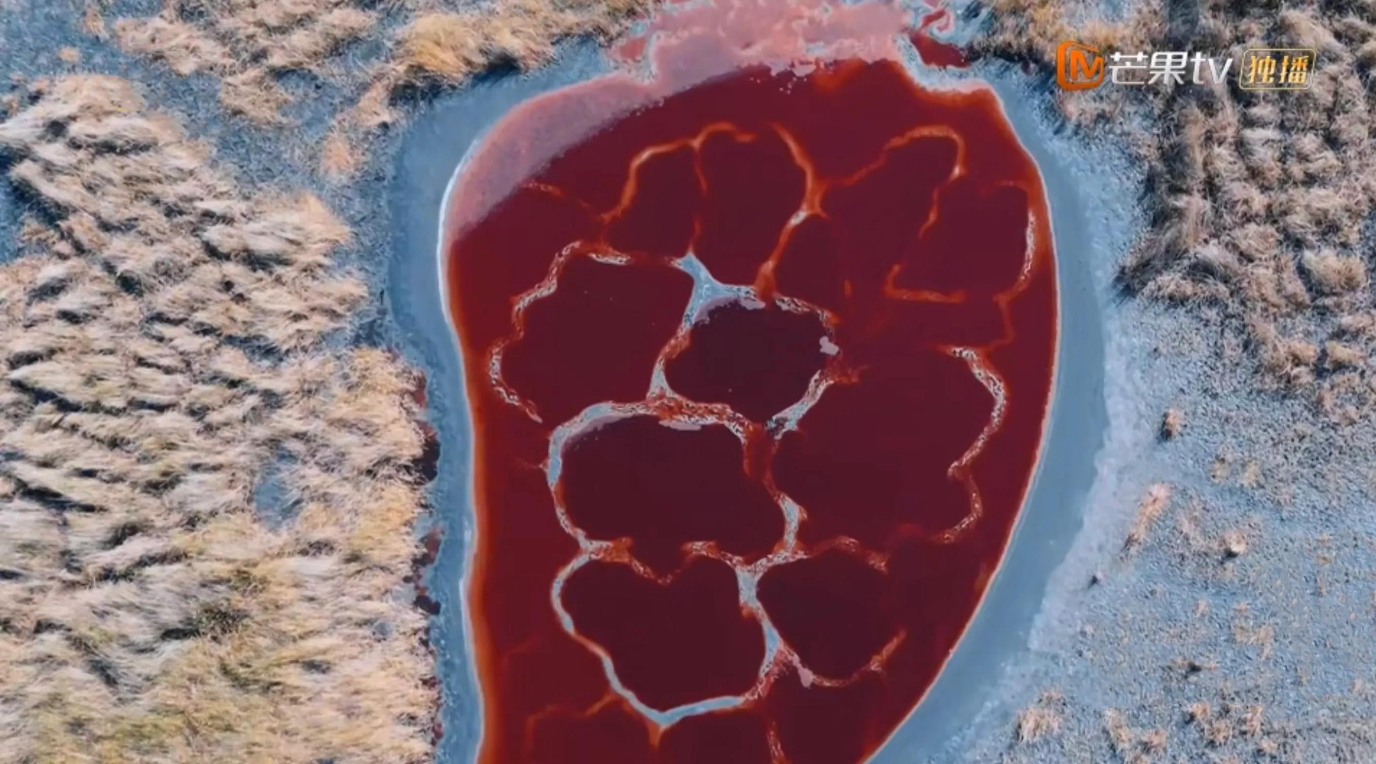 如果更多的人看见，哥哥们在滚烫路途中的“滚烫人生”