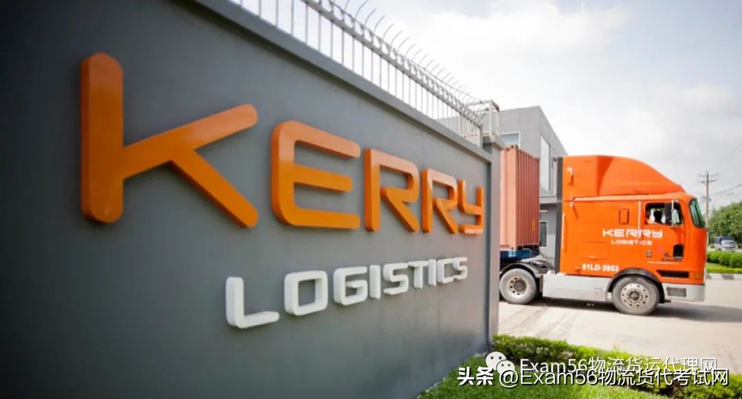 嘉里集团2016净利润,嘉里集团2023营业额