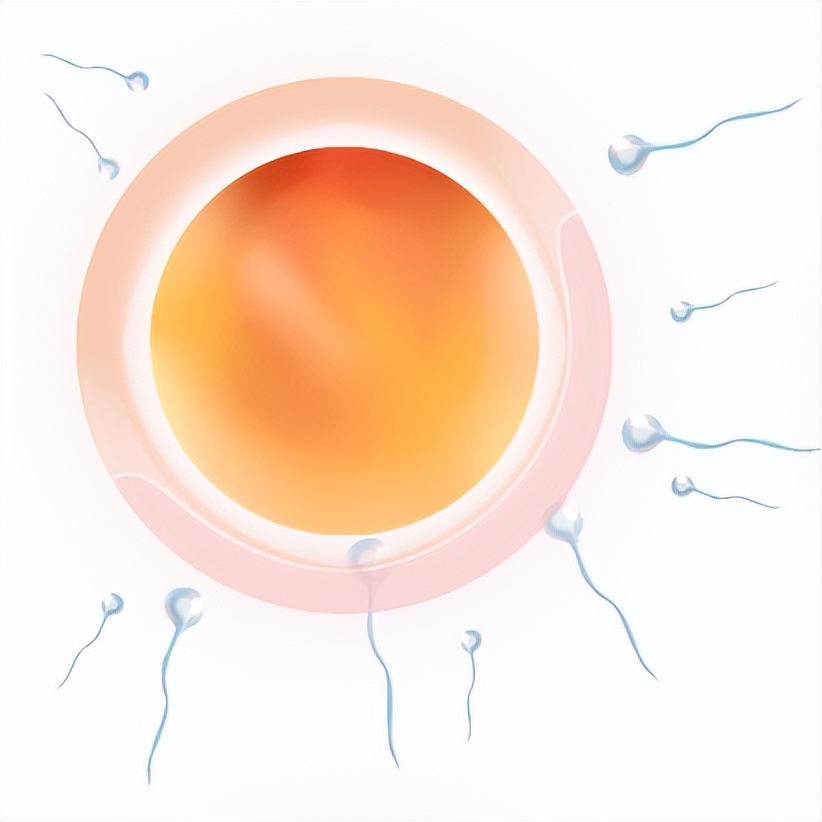 试管子宫内膜容受性的评价指标,试管反复失败与基因有关系吗