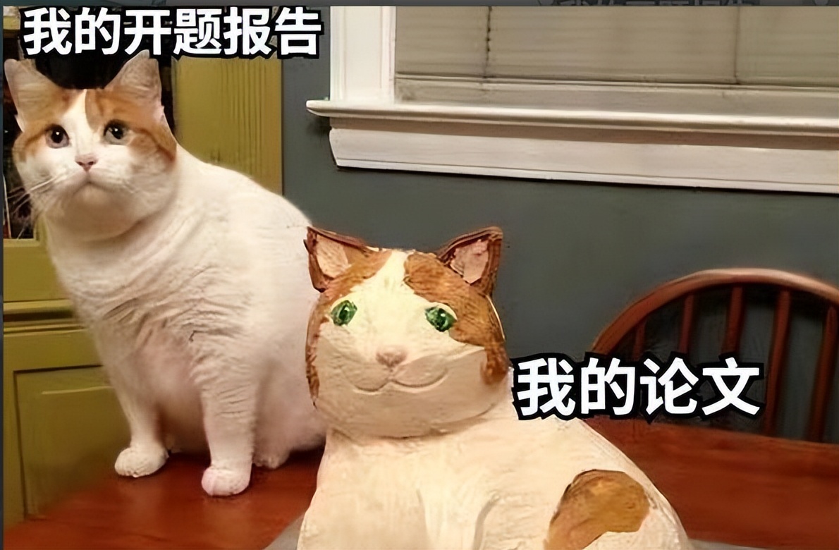 西安电子科大学生，用钱雇人代写毕业论文，处理结果公布