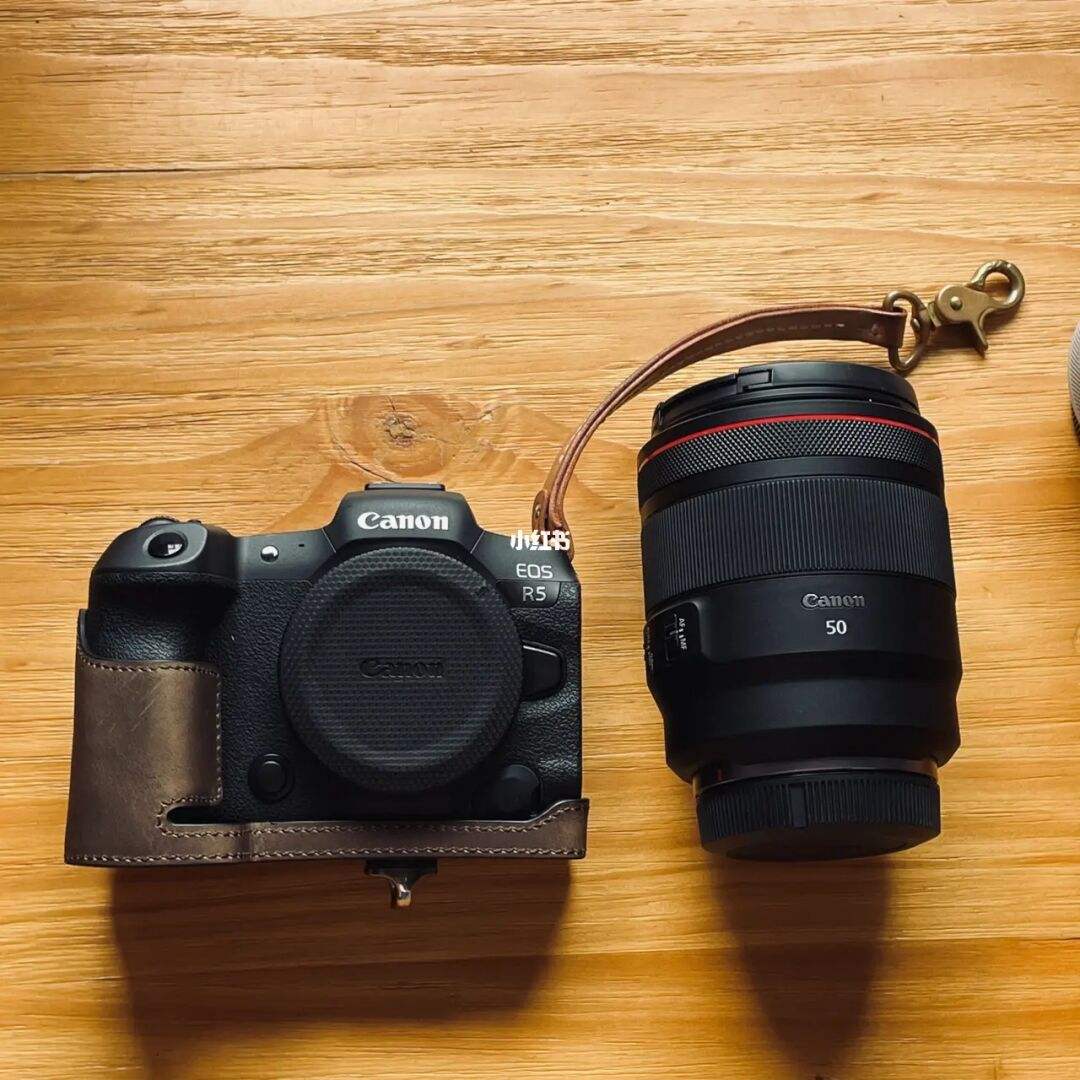 尼康索尼佳能拍照对比图,数码相机索尼和佳能哪个好