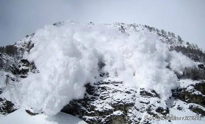 前有思聪吃热狗，后有婆孙插队，将真人做成表情包是否侵犯肖像权