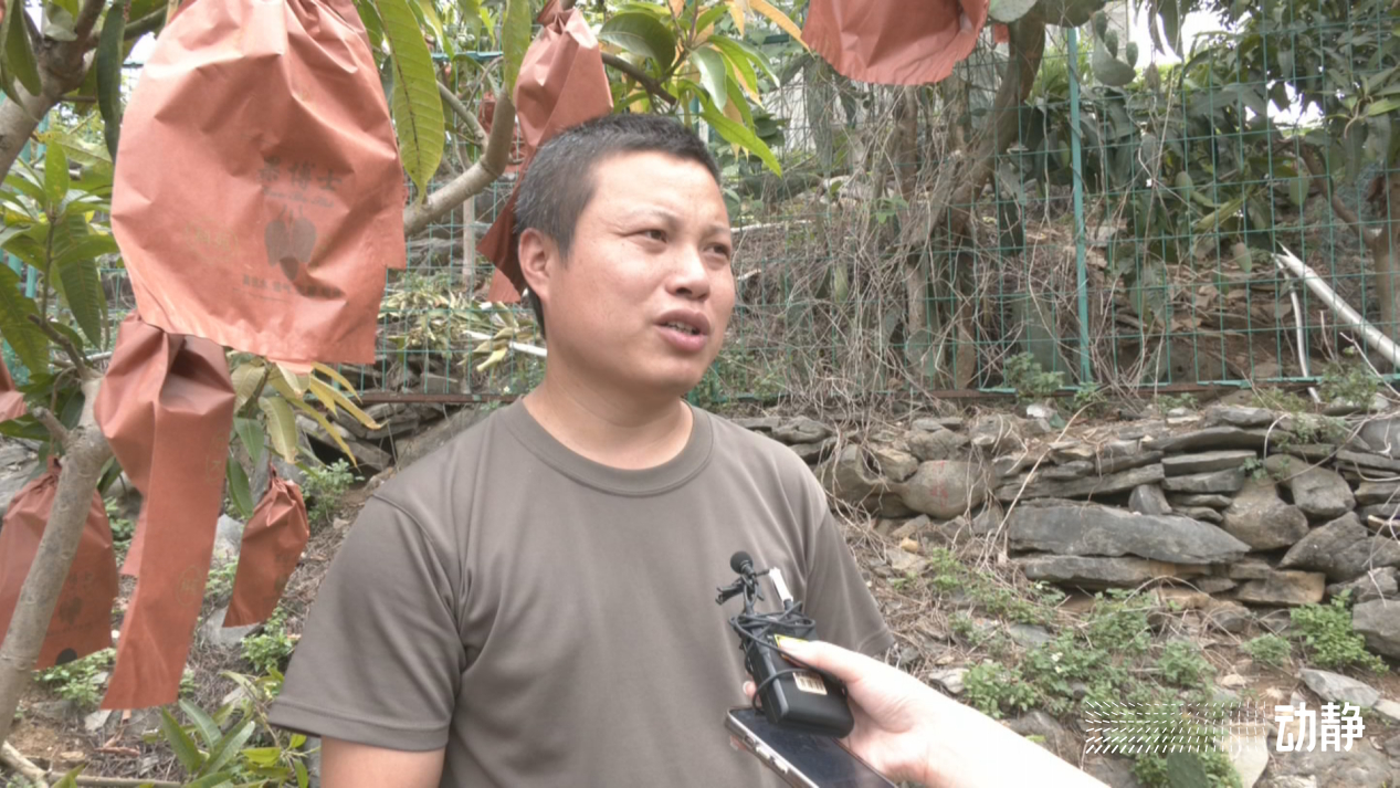 石头村的变形记,石头寨变形计