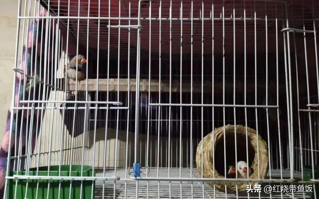 25岁背上人生的第一笔贷款,25岁背负房贷月供2500