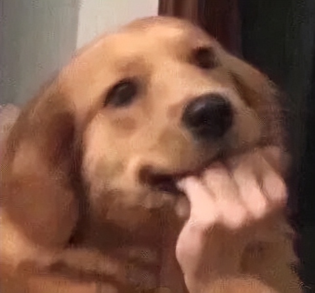 赶紧停下！火爆全网的这种身材，华西医生说：一不小心就让你受伤