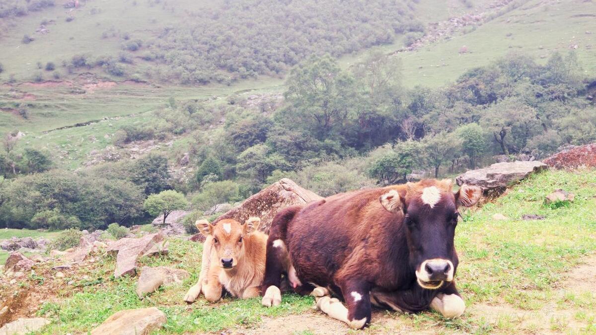四川凉山最险要的地方,四川凉山最好的地方