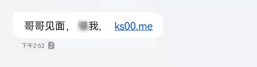 新型网络招嫖加刷单诈骗,网络新型招嫖刷单骗术