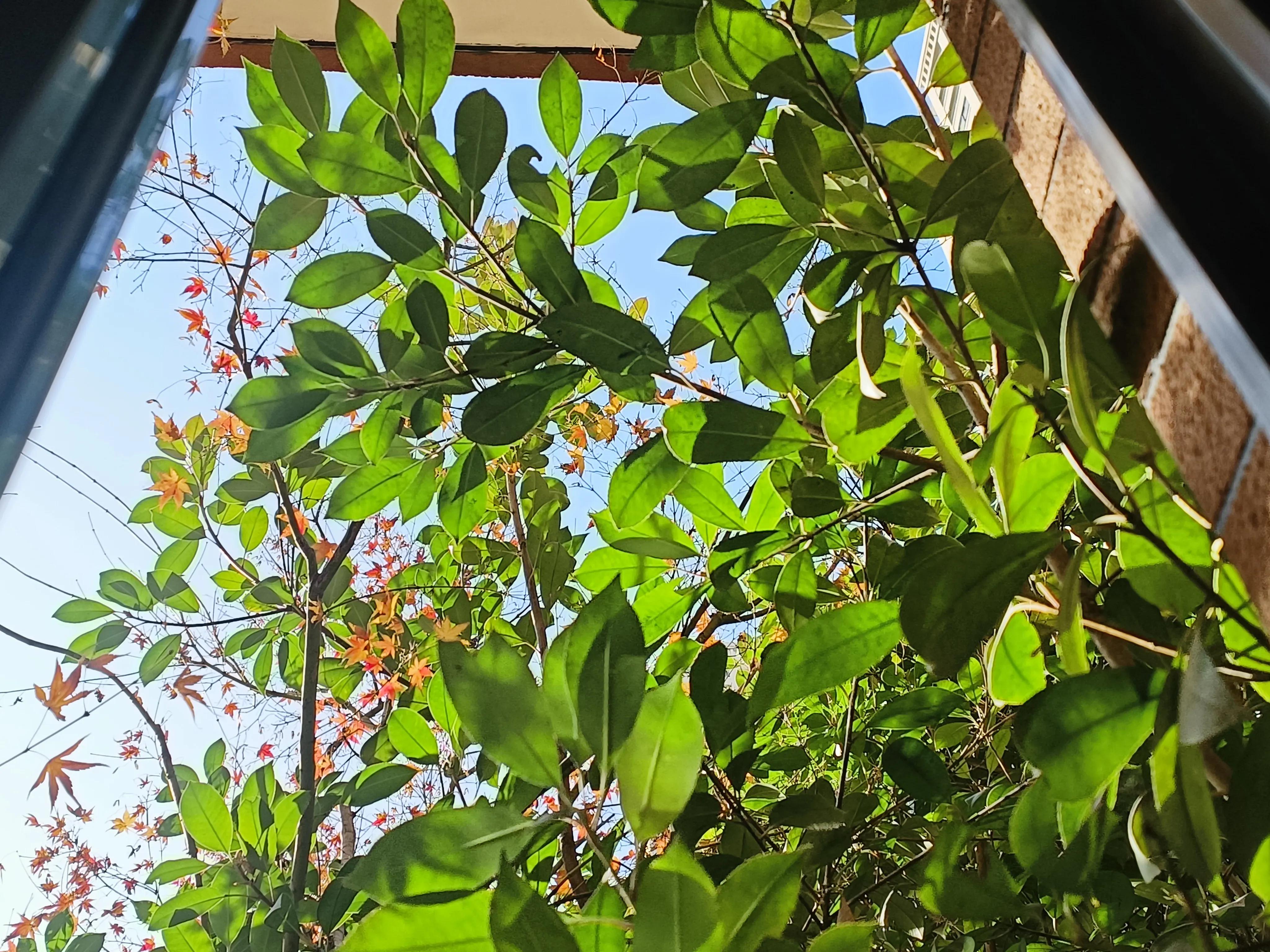 谁让我是天蝎座1