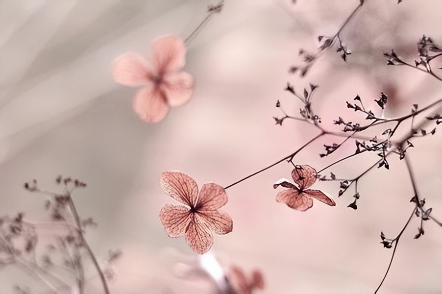 聪明的人都在闷声发财努力做事,当一个人变得强大的前兆