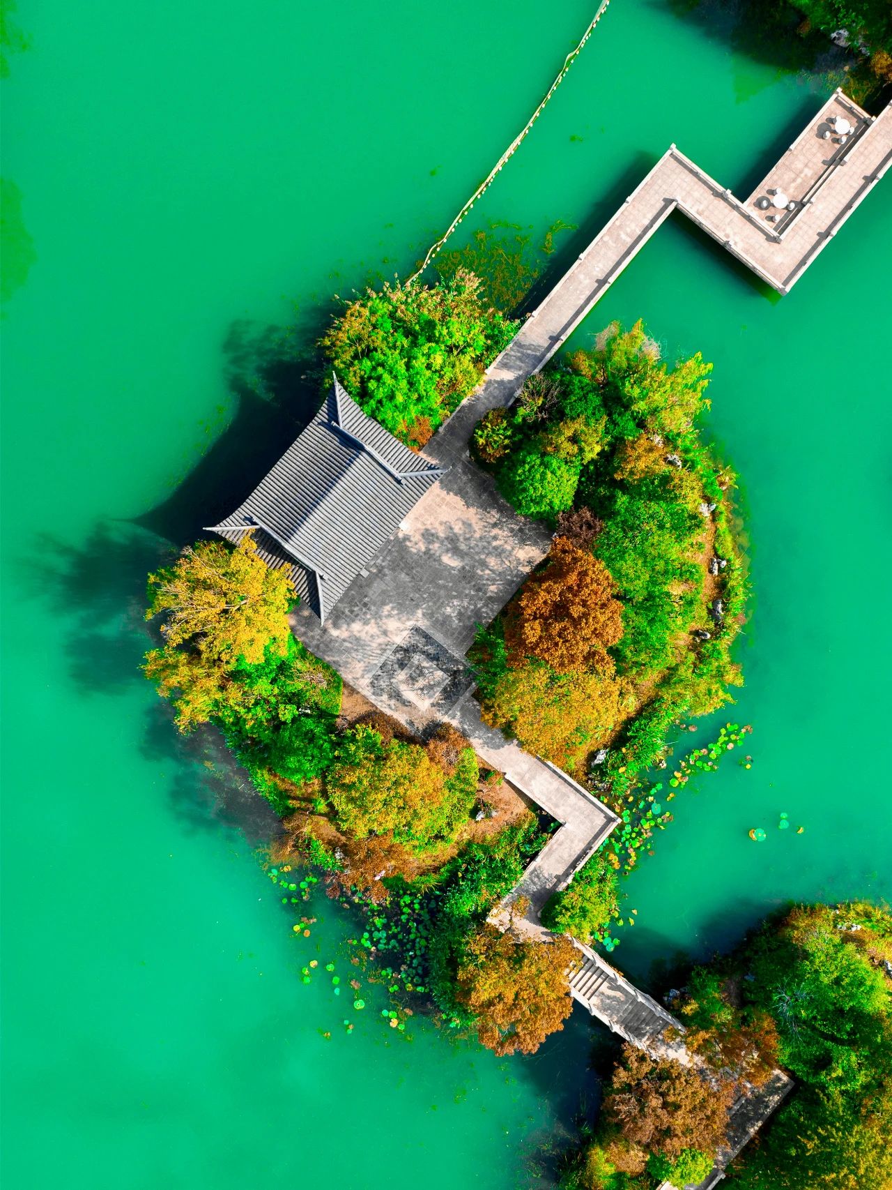 几何之美的感受,几何之美视频