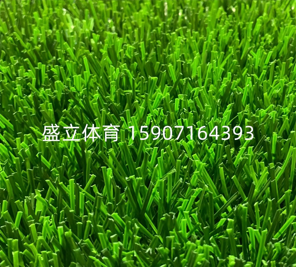 怎么判断人工草坪好坏,怎么判断人造草坪足球场的优劣