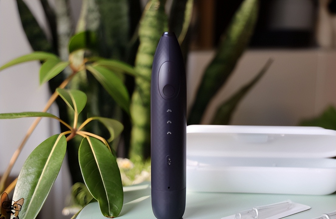 冲牙器品牌十大排名洁碧,水牙线冲牙器推荐第一名