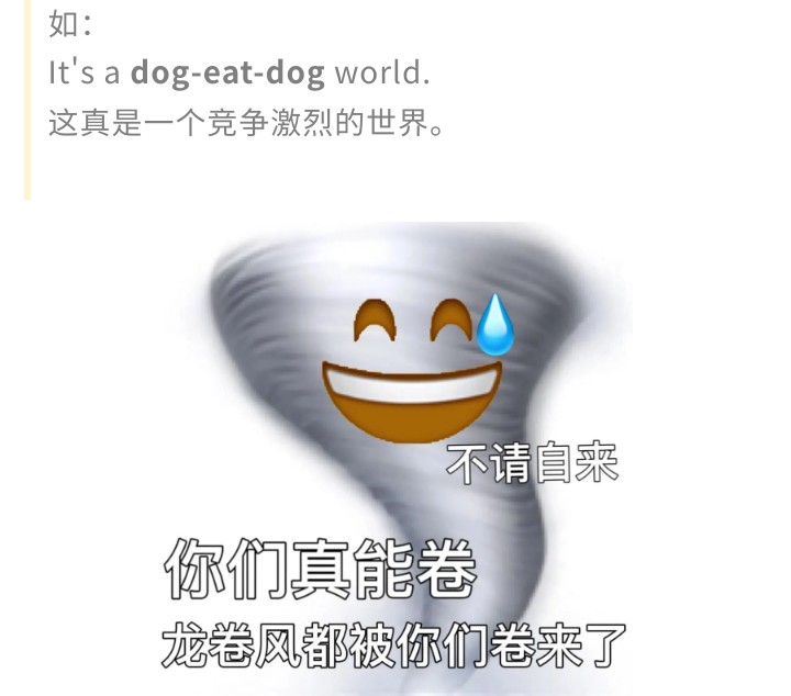 火爆外网的魔性“车座子狗”，究竟是什么梗？