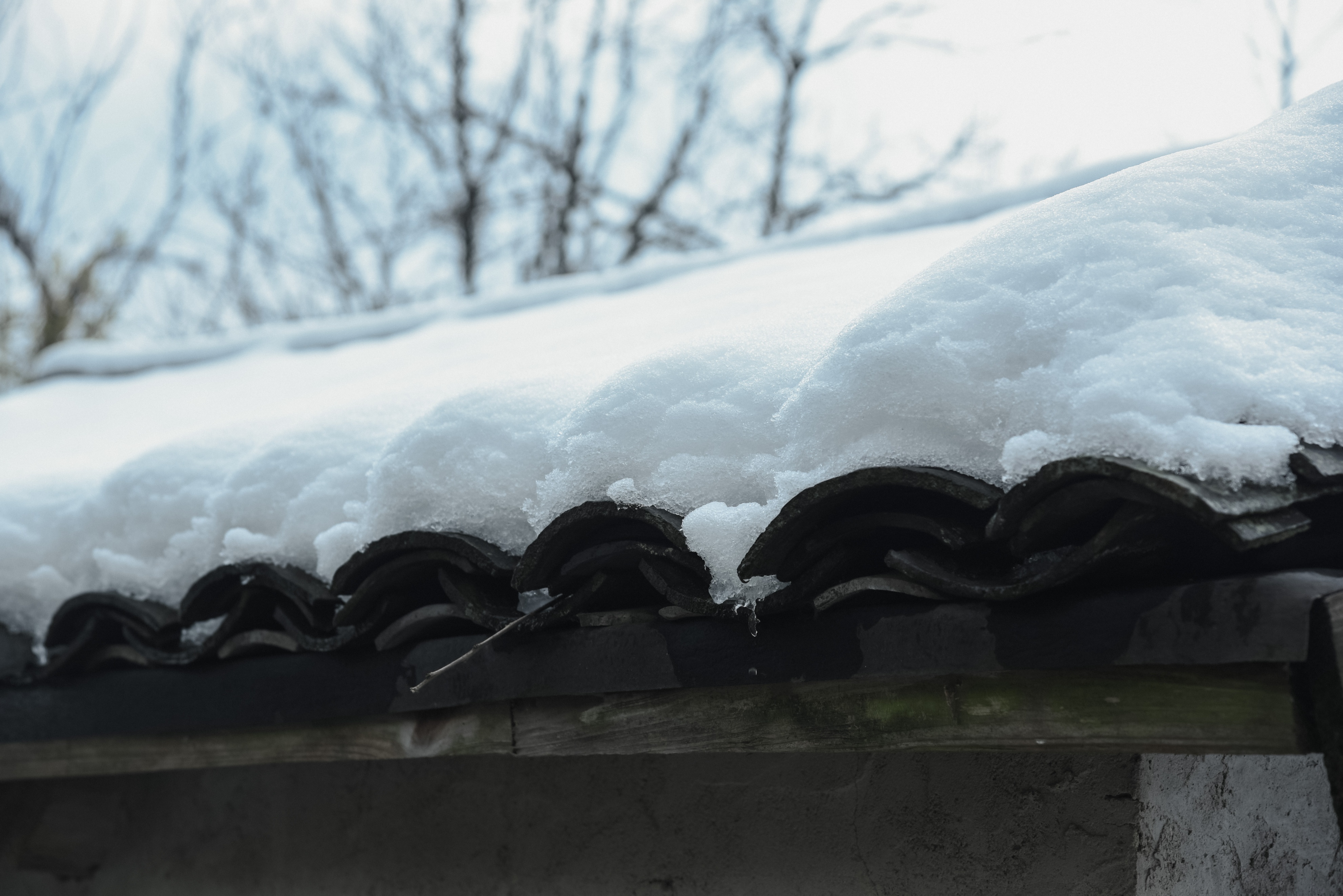 宁波四明山游记,宁波四明山这两年的风景