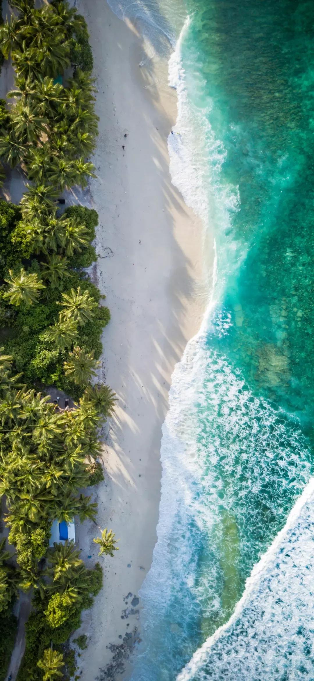 大海壁纸｜大海边，守候朝霞，聆听海浪的乐章