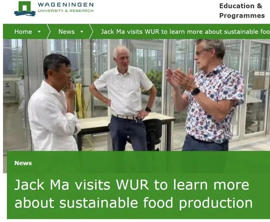 从学渣到教授马云的三次关键抉择,马云学渣逆袭成学霸的过程